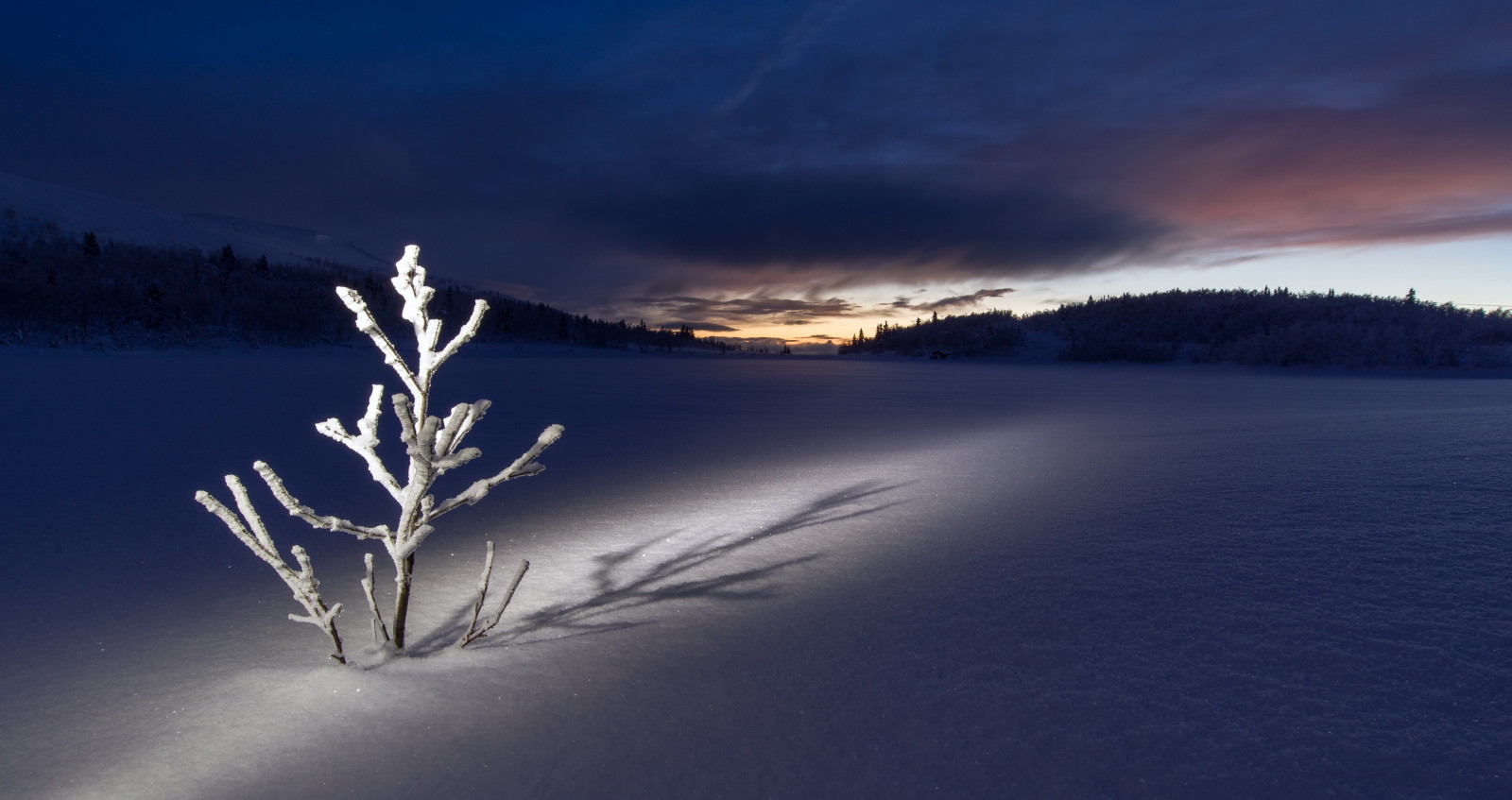 neige, hiver, champ, nuit