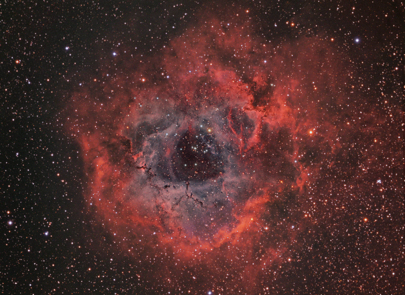 Plats, nebulosa, Rosett, enhörning, i konstellationen, utlopp, NGC 2237