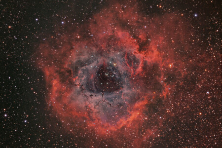 i stjernebilledet, stjernetåge, NGC 2237, udløb, Rosette, plads, enhjørning