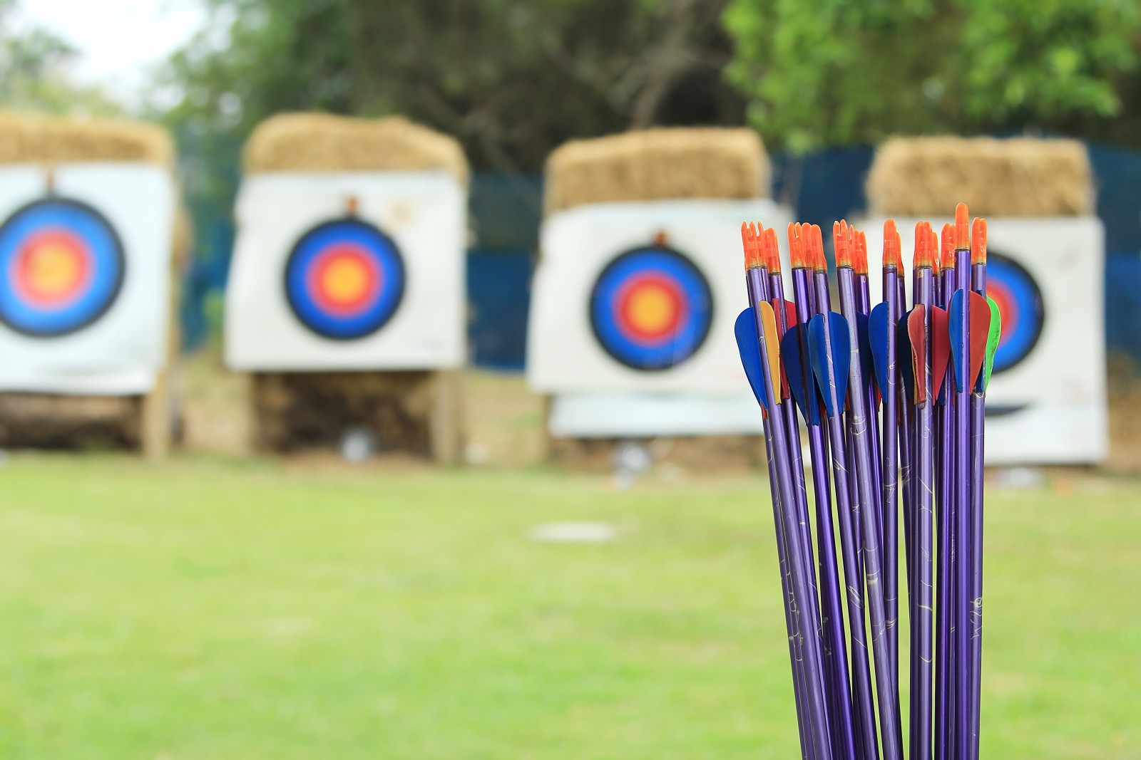 formation, flèches, tir à l'arc, tir sur cible