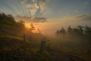 brouillard, la nature, le coucher du soleil