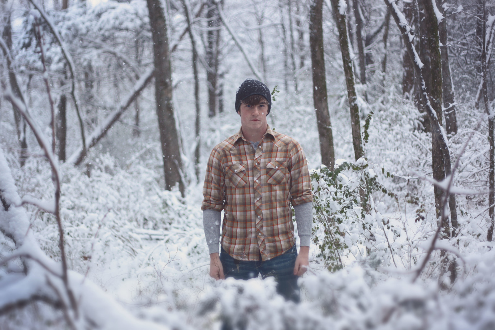 snow, forest, branches, winter, trees, male, The hood, direct look