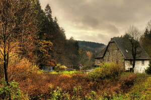 Germany, home, Marie Heath, photo, the city