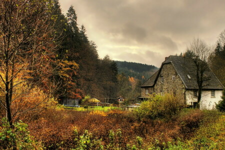 Allemagne, Accueil, Marie Heath, photo, la ville