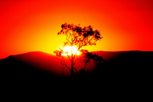 montanhas, panorama, pôr do sol, o céu, o sol, árvore