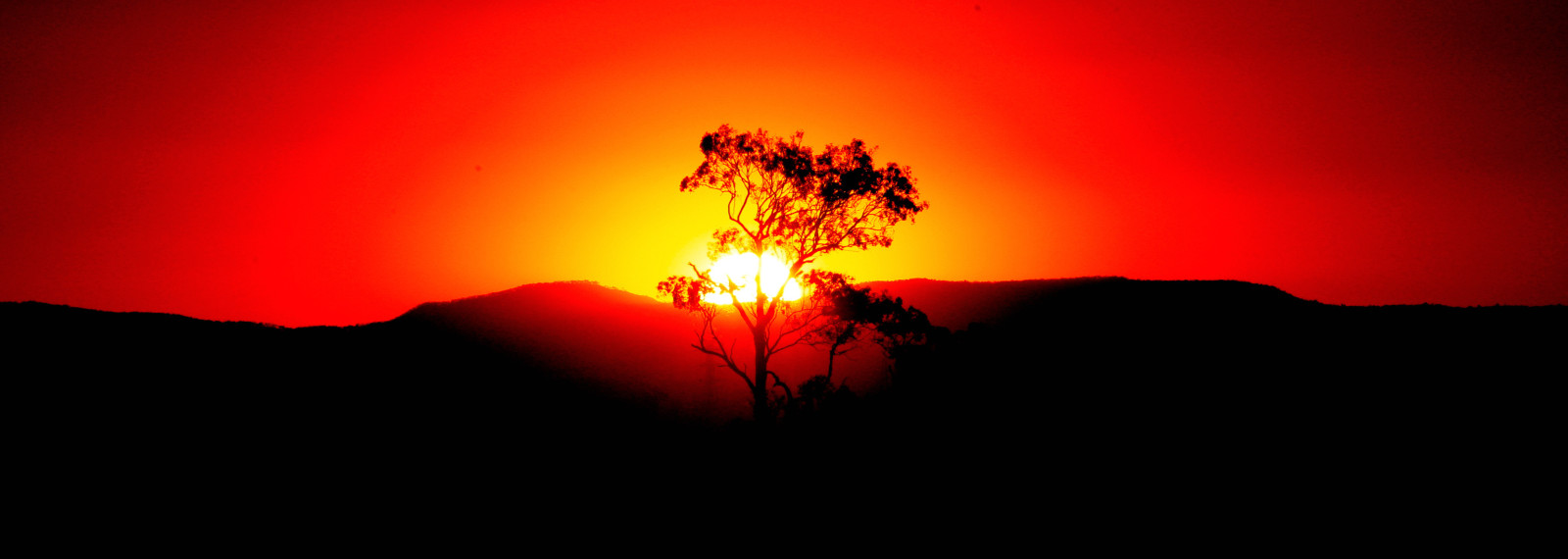 arbre, Le ciel, le coucher du soleil, montagnes, panorama, le soleil