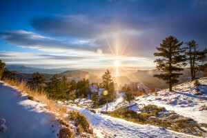 dawn, landscape, nature, the sun, winter