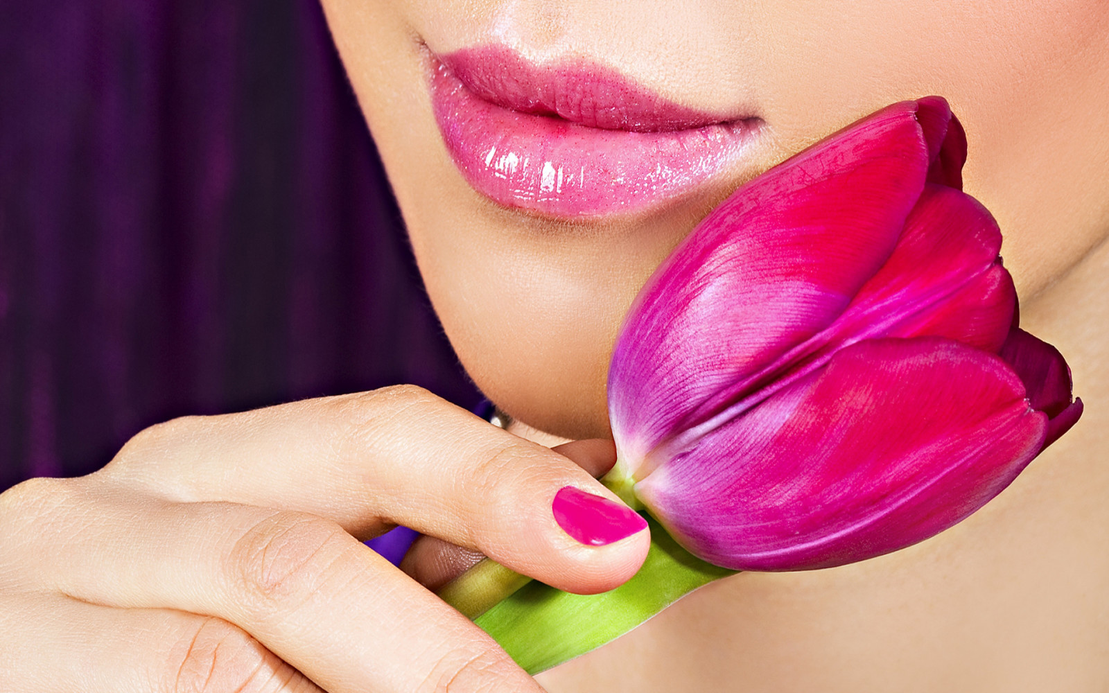 face, flower, lips, Tulip