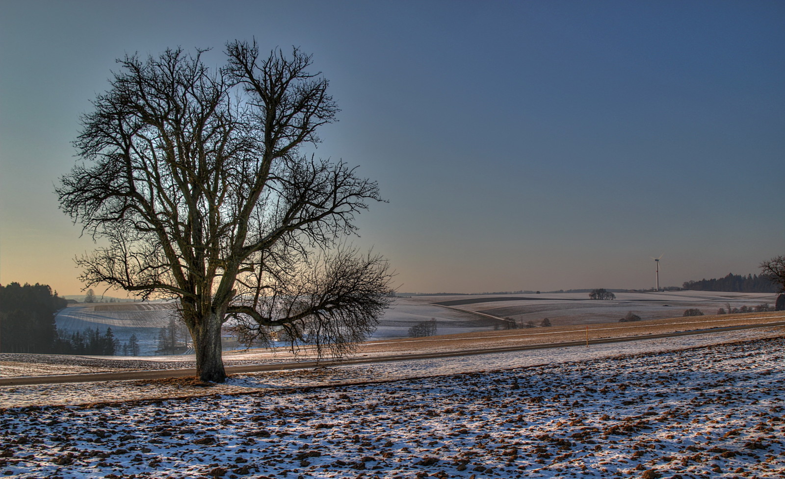 snow, tree, nature, winter, road, field, photo