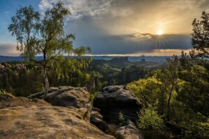 mountains, the sun, trees