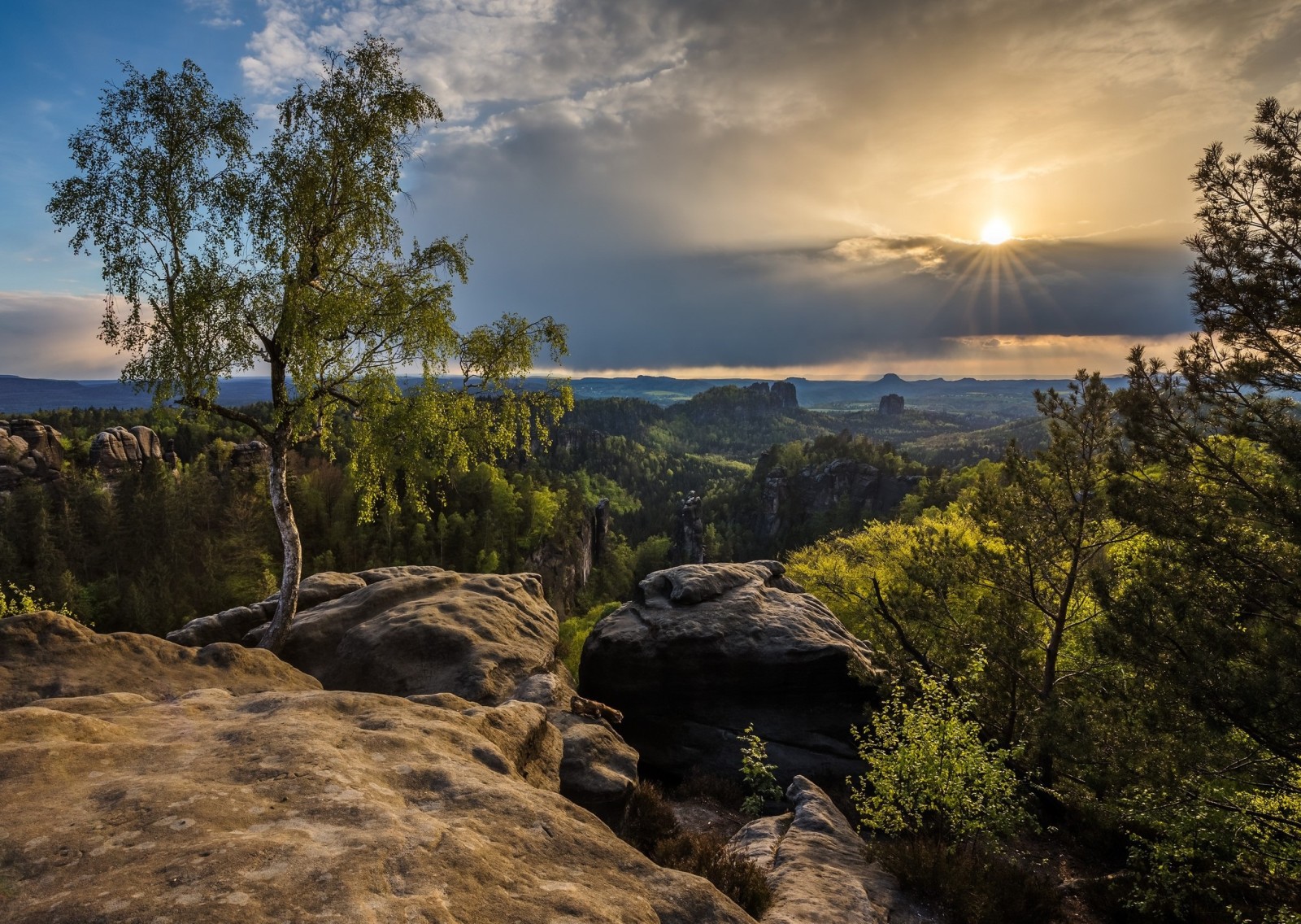 árvores, montanhas, o sol