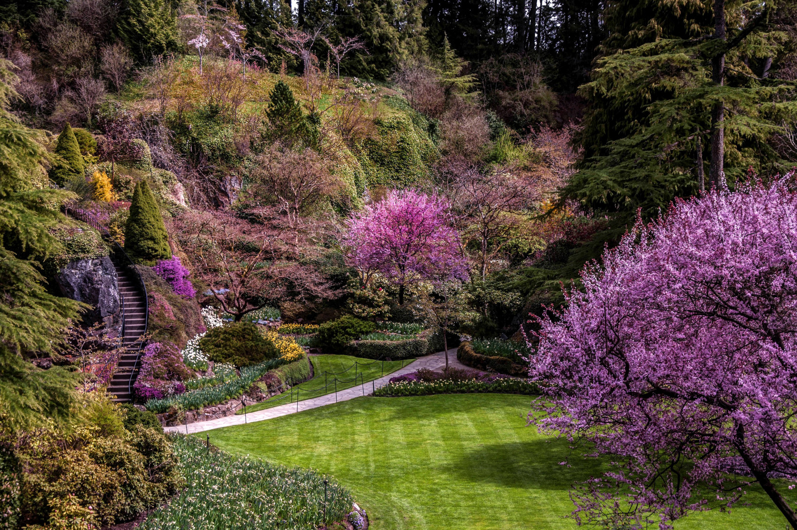 árvores, Canadá, flores, gramado, escada, rastrear, Jardim, Os arbustos