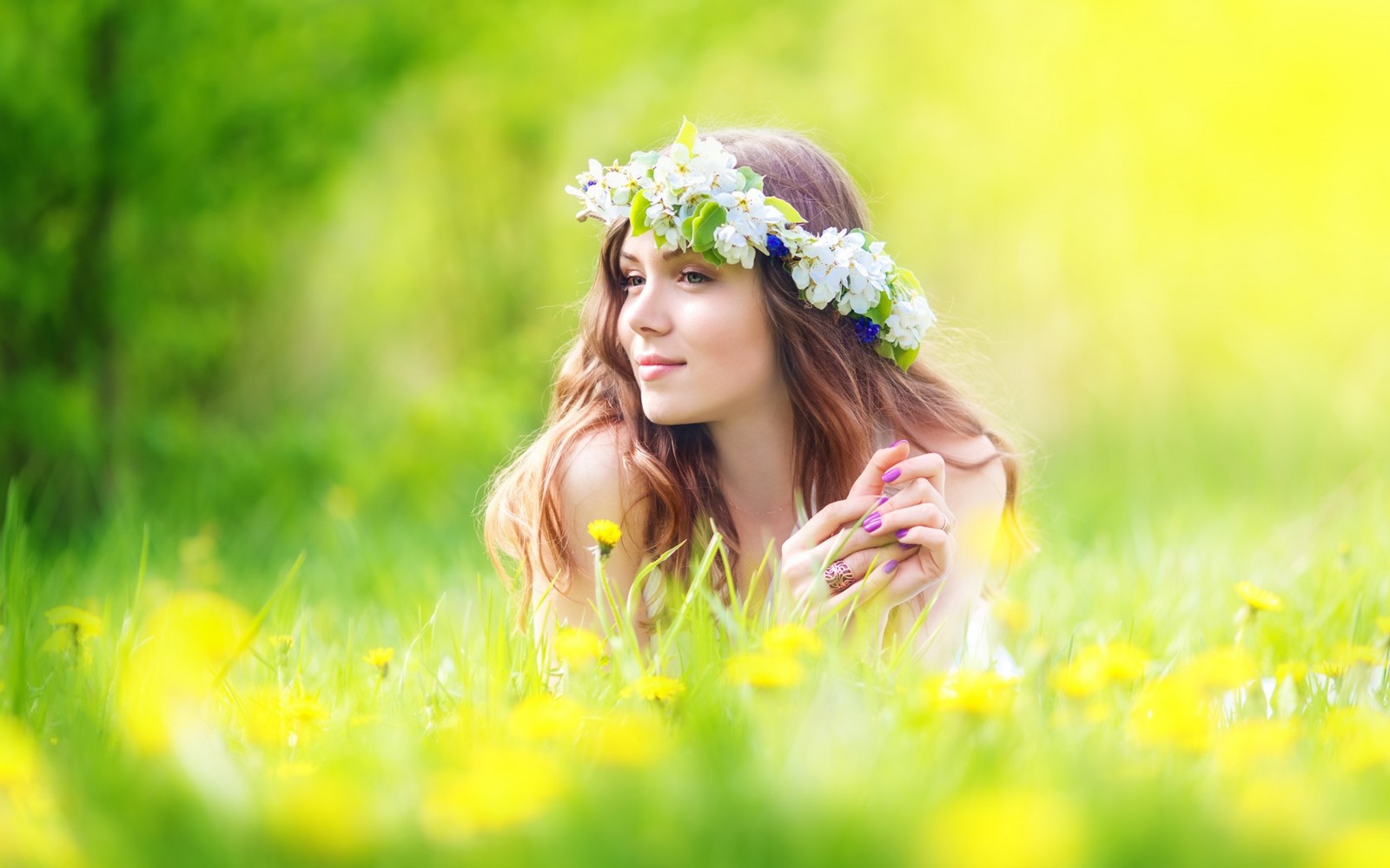 gras, kijken, natuur, humeur, PAARDEBLOEMEN, groenten, veld-, bloemen