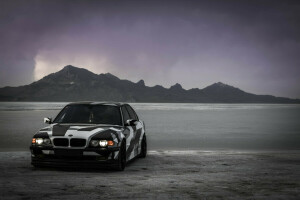 740iL, ALPINA, arktisk camo, BMW, Camo, E38, tuning, vinter