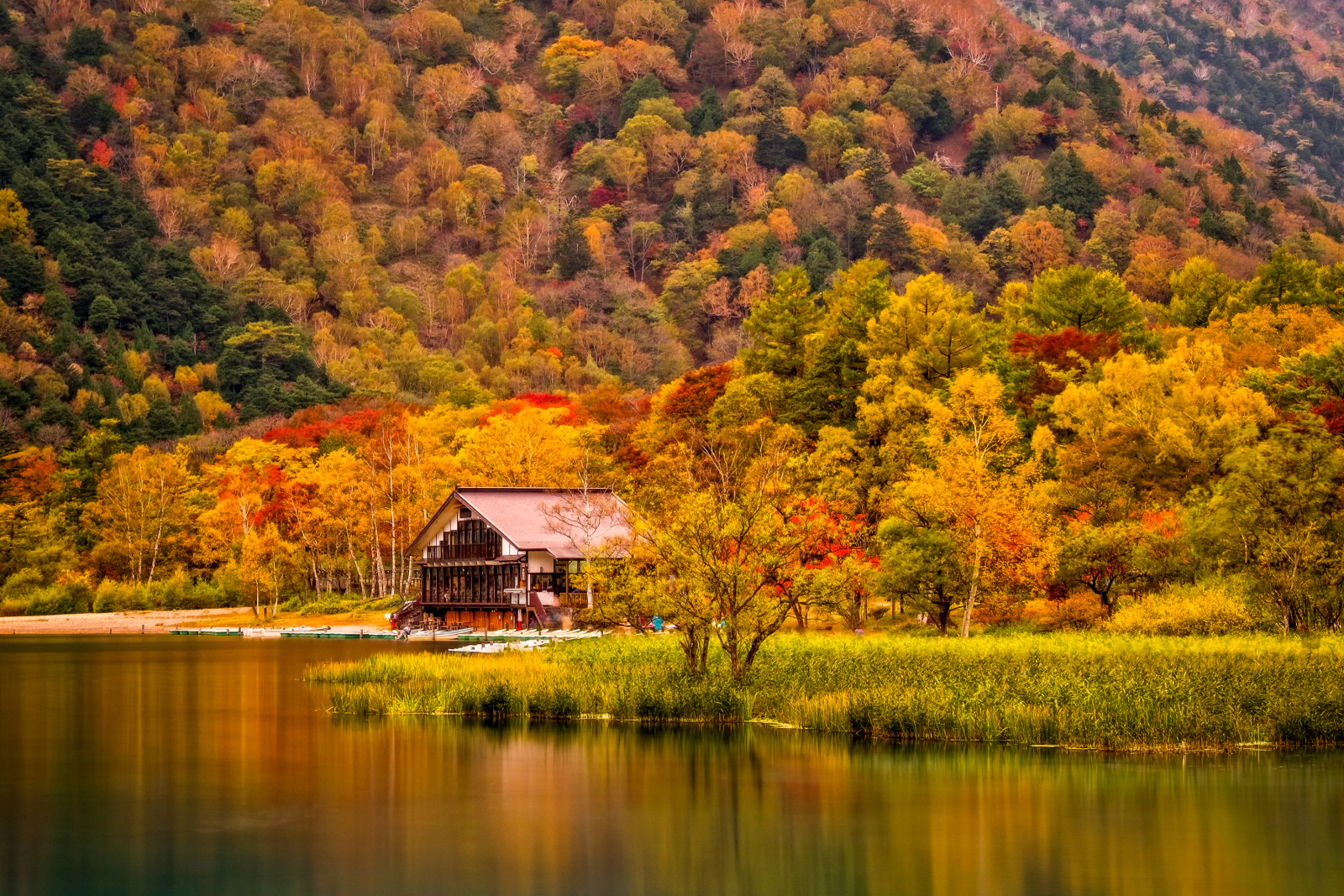 autumn, grass, house, river, shore, trees, mountains