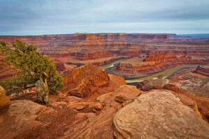 canyon, nuvole, montagne, fiume, rocce, il cielo, albero