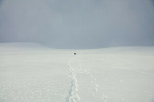 Feld, Menschen, Schnee