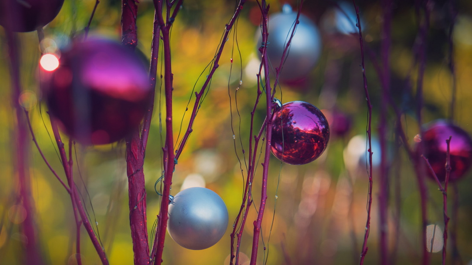 branches, background, toys