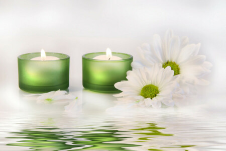 kaarsen, bloemen, water, witte chrysanten