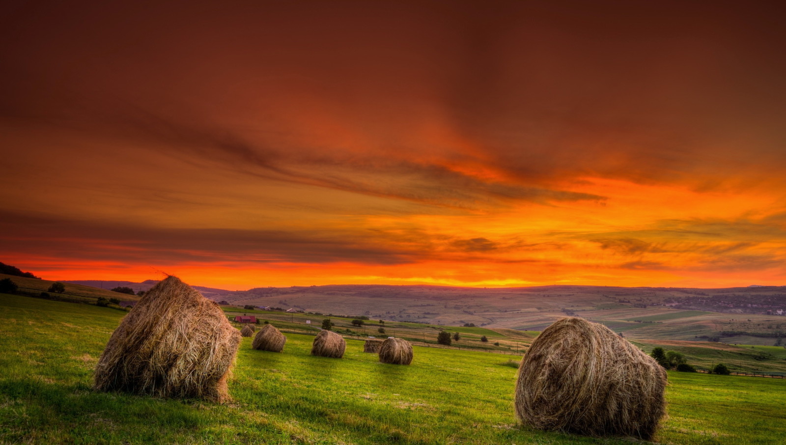 verano, puesta de sol, campo, heno