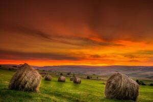 felt, høy, sommer, solnedgang