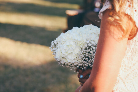 bouquet, fleurs, blanc