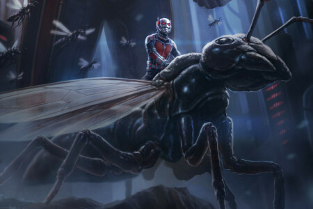 Ant-man, art, comic, Fiction, figure, insects, Marvel