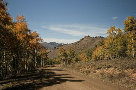 paisaje, montañas, la carretera