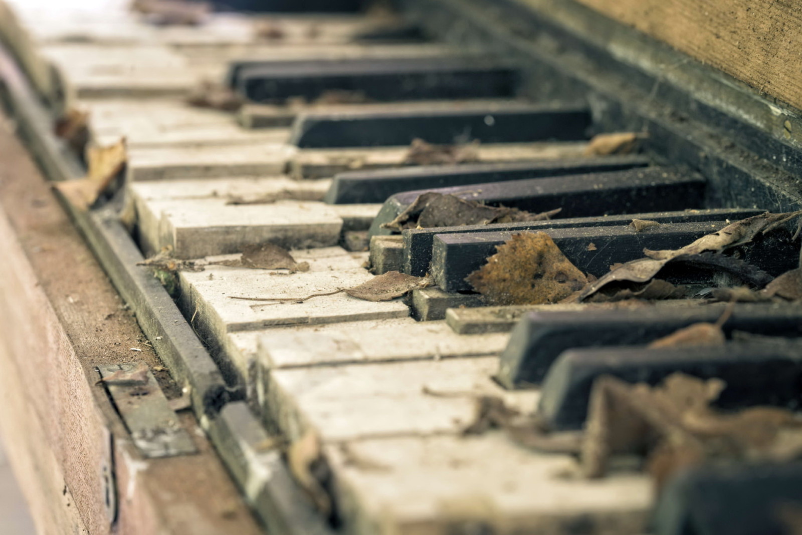 macro, Musica, pianoforte