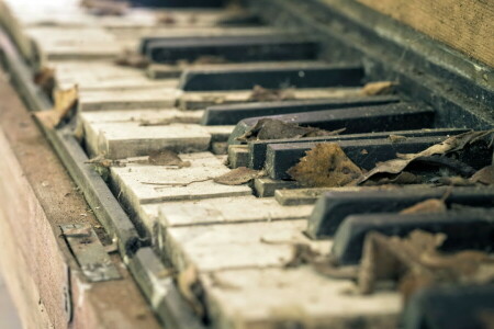 macro, Muziek, piano