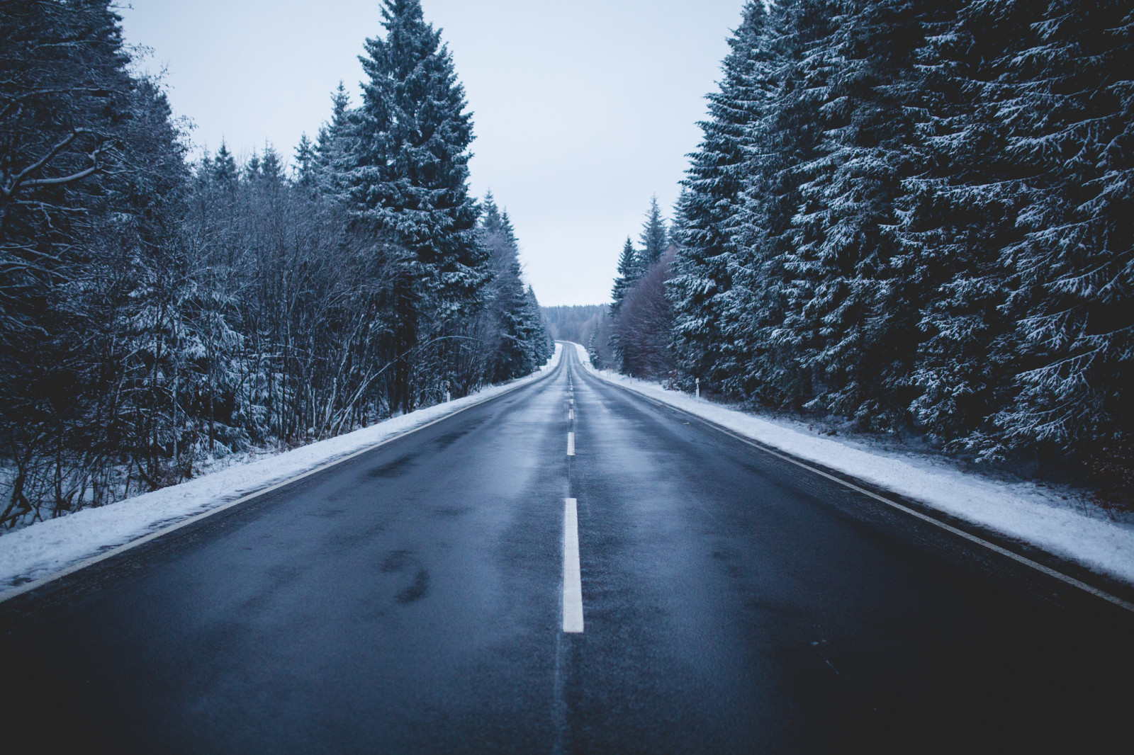 snø, skog, himmelen, vinter, vei, trær