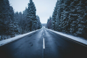 Skov, vej, sne, himlen, træer, vinter