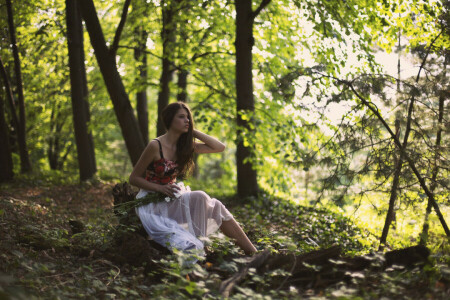 bouquet, cheveux bruns, forêt, fille, des arbres