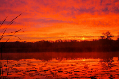 wolken, mist, gloed, meer, zonsondergang, de lucht, bomen