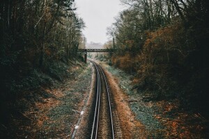 herfst, Brug, spoorweg, de weg, bomen