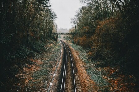 outono, Ponte, Ferrovia, o caminho, árvores