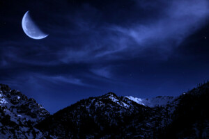 bosque, montañas, noche, nieve, estrellas, La luna, el cielo, arboles