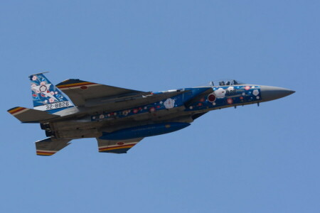 Adelaar, F-15J, Vechter, vlucht, Japans