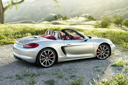 Nackenrolle, Boxster, Cabrio, Porsche