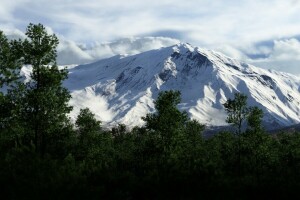 clouds, forest, mountains, snow