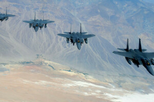 "Ørn", Ørn, F-15, Fighters, flyvningen