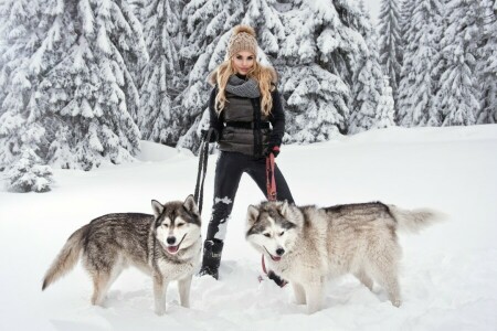 blond, race, chiens, fille, rauque, pose, neige