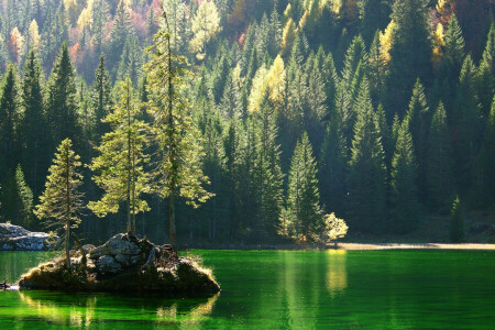 forest, island, lake, rock, slope, trees