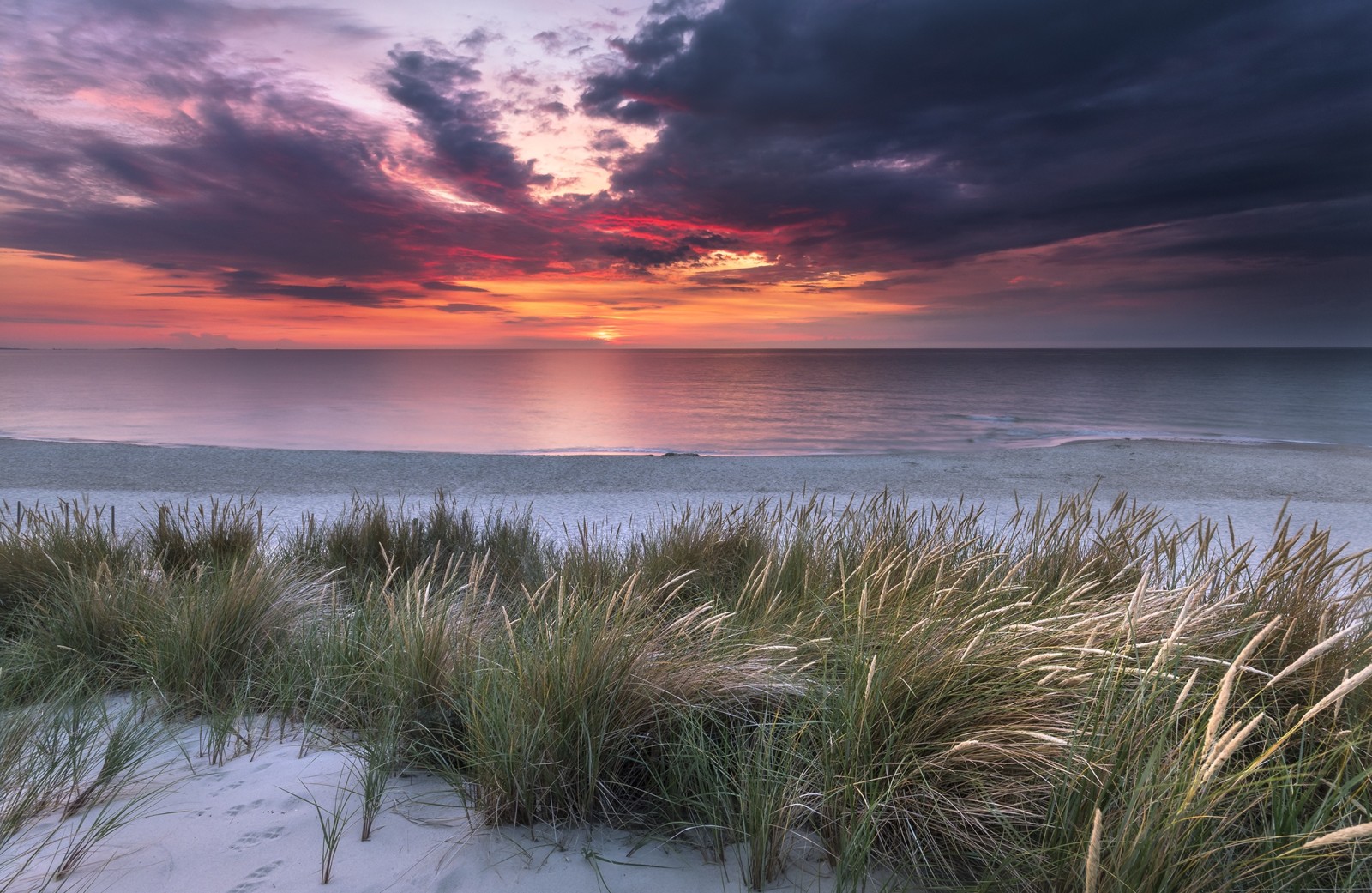 herbe, la nature, le coucher du soleil, paysage, rive, mer, des nuages, le sable