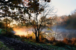 herfst, mist, ochtend-, rivier-