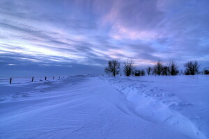 paisaje, nieve, invierno