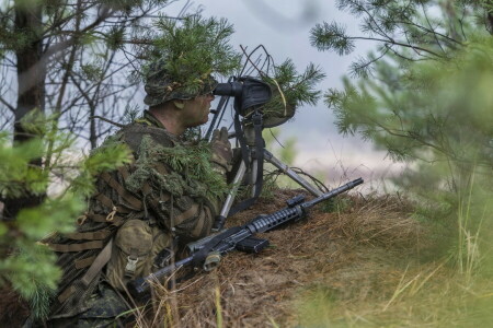 Fuerzas Armadas Canadienses, francotirador, Arma