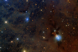 na constelação, nebulosa, NGC1333, Perseu, refletindo