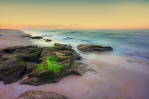 moss, sea, stones, surf