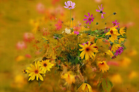 otoño, ramo de flores, pétalos, vástago